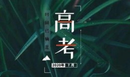 最新高招爆料,政策调整与热门专业解析”