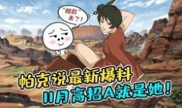 最新高招爆料,政策调整与热门专业解析”