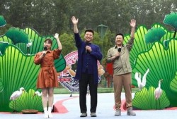 最新忠嫂爆料新闻视频,最新爆料视频揭秘惊人真相